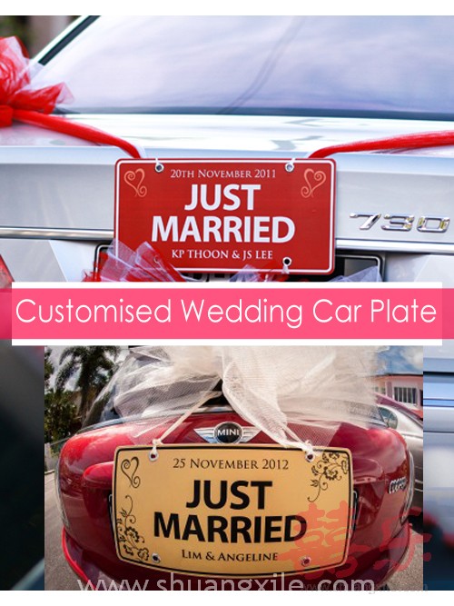 reflective Just Married Personalised Wedding Car Number Plates Gift customised 